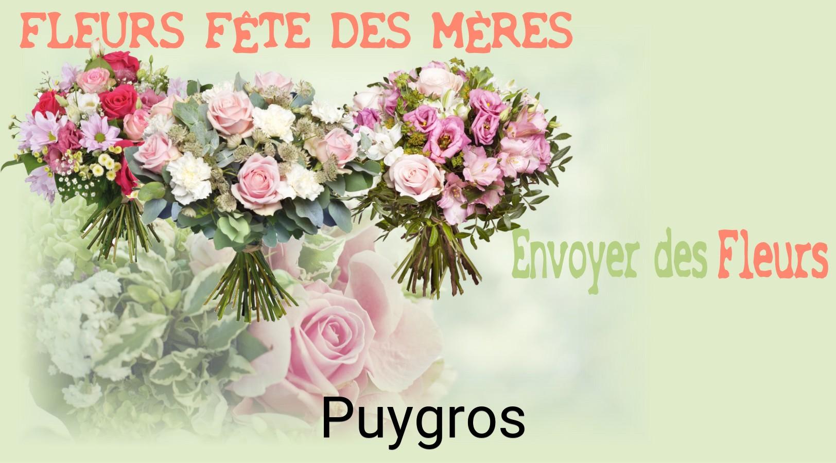 Bouquet de Fête des Mères livré à Puygros